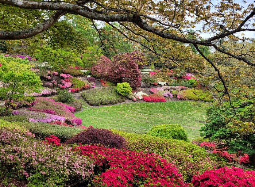 The Valley Gardens, United Kingdom